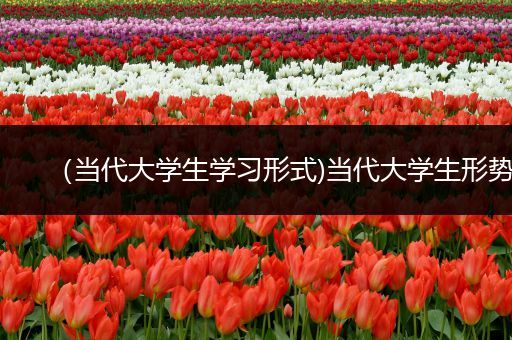 （当代大学生学习形式)当代大学生形势