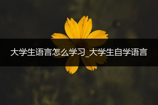 大学生语言怎么学习_大学生自学语言