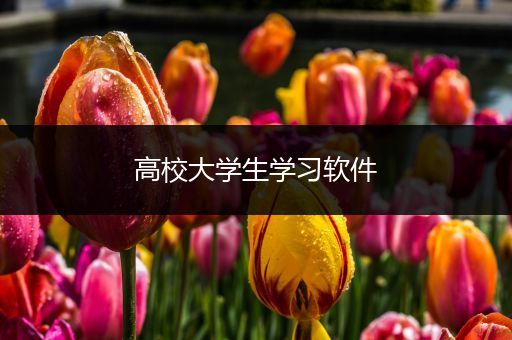 高校大学生学习软件