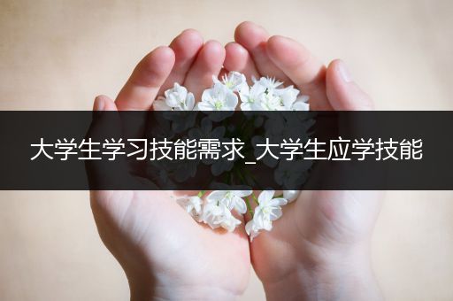 大学生学习技能需求_大学生应学技能