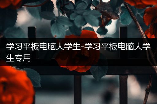 学习平板电脑大学生-学习平板电脑大学生专用