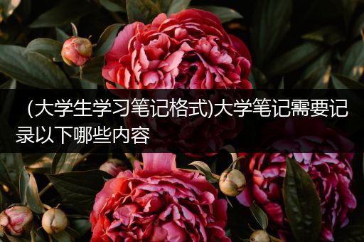 （大学生学习笔记格式)大学笔记需要记录以下哪些内容