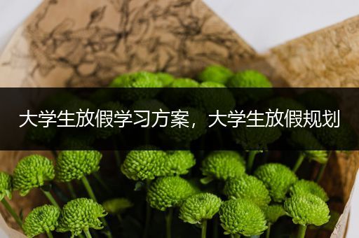 大学生放假学习方案，大学生放假规划