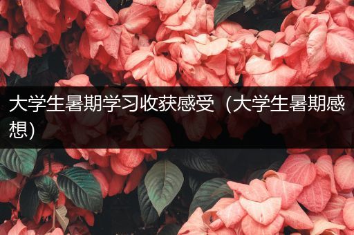大学生暑期学习收获感受（大学生暑期感想）