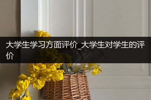 大学生学习方面评价_大学生对学生的评价
