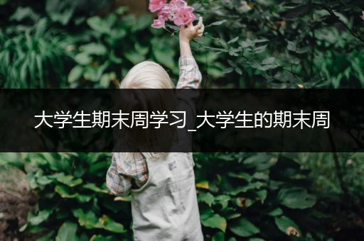 大学生期末周学习_大学生的期末周