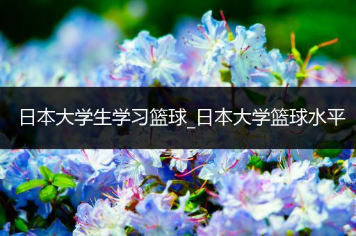 日本大学生学习篮球_日本大学篮球水平