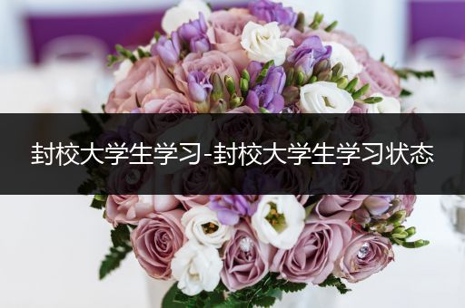 封校大学生学习-封校大学生学习状态