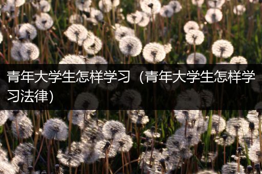 青年大学生怎样学习（青年大学生怎样学习法律）