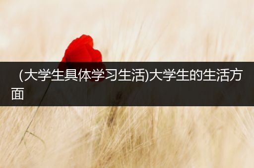 （大学生具体学习生活)大学生的生活方面