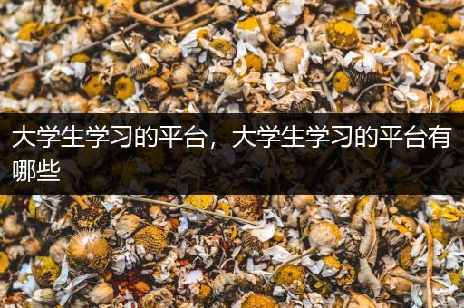 大学生学习的平台，大学生学习的平台有哪些