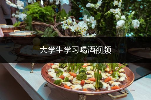 大学生学习喝酒视频