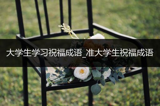 大学生学习祝福成语_准大学生祝福成语