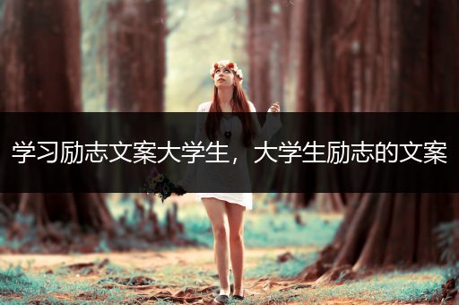 学习励志文案大学生，大学生励志的文案