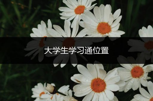 大学生学习通位置