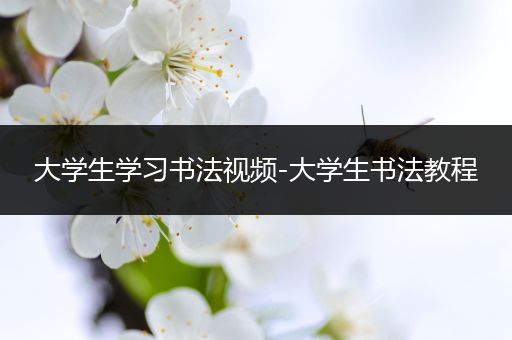 大学生学习书法视频-大学生书法教程