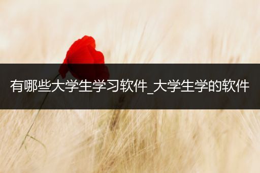 有哪些大学生学习软件_大学生学的软件