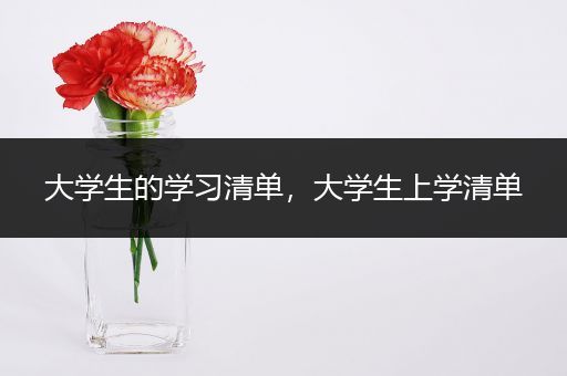 大学生的学习清单，大学生上学清单