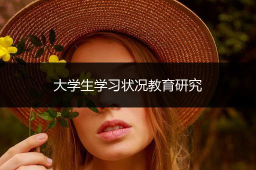 大学生学习状况教育研究