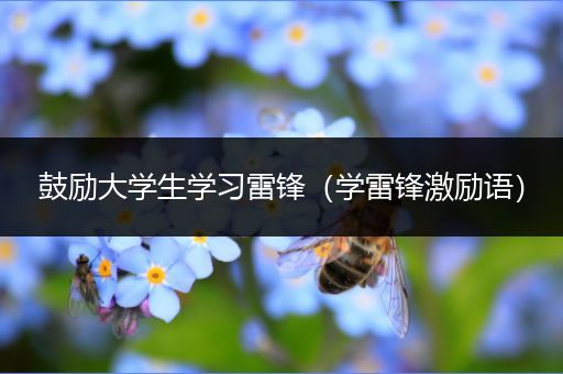 鼓励大学生学习雷锋（学雷锋激励语）