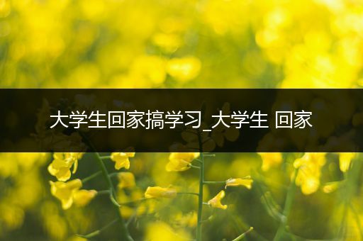 大学生回家搞学习_大学生 回家