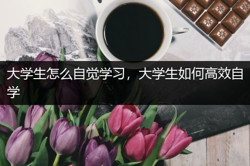 大学生怎么自觉学习，大学生如何高效自学