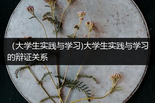 （大学生实践与学习)大学生实践与学习的辩证关系