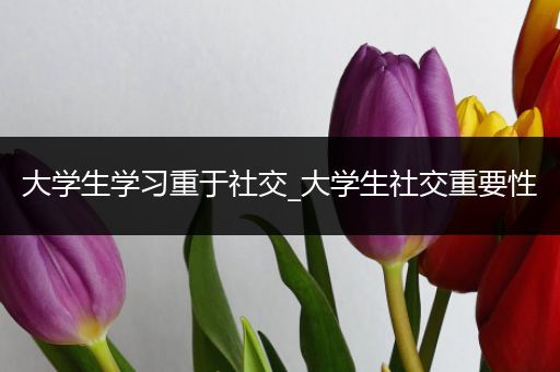 大学生学习重于社交_大学生社交重要性