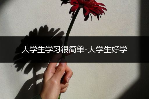 大学生学习很简单-大学生好学