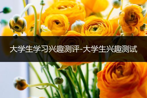 大学生学习兴趣测评-大学生兴趣测试