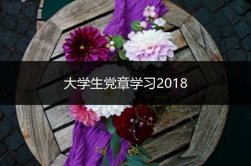 大学生党章学习2018