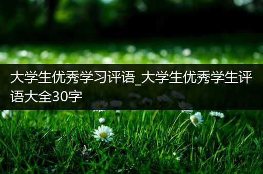 大学生优秀学习评语_大学生优秀学生评语大全30字