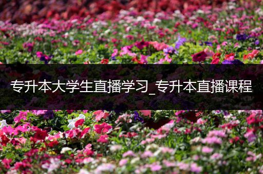 专升本大学生直播学习_专升本直播课程