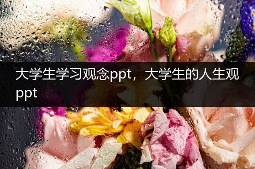 大学生学习观念ppt，大学生的人生观ppt