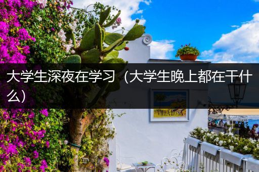 大学生深夜在学习（大学生晚上都在干什么）