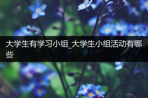 大学生有学习小组_大学生小组活动有哪些