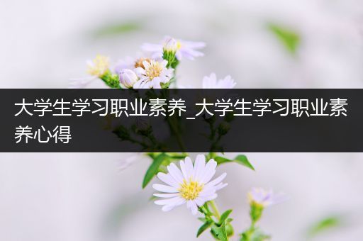 大学生学习职业素养_大学生学习职业素养心得