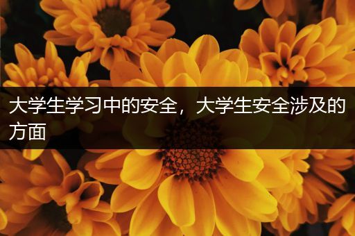 大学生学习中的安全，大学生安全涉及的方面