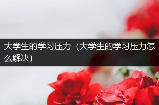 大学生的学习压力（大学生的学习压力怎么解决）