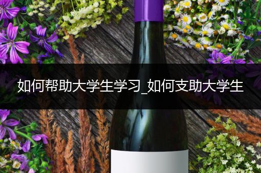 如何帮助大学生学习_如何支助大学生