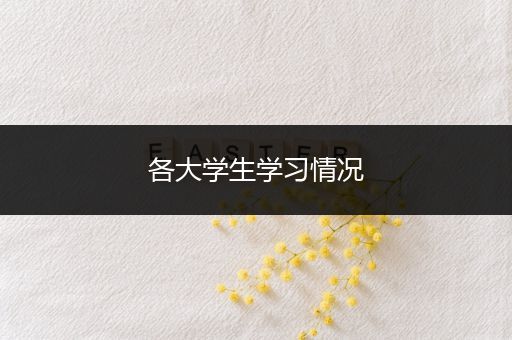 各大学生学习情况
