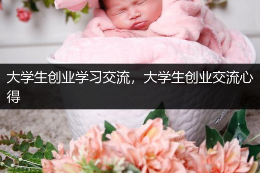 大学生创业学习交流，大学生创业交流心得