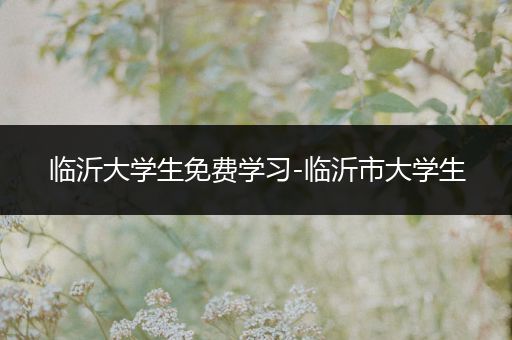 临沂大学生免费学习-临沂市大学生
