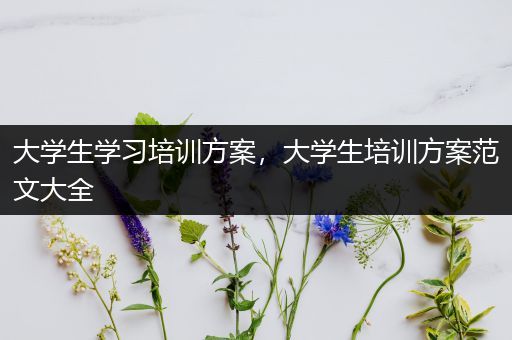 大学生学习培训方案，大学生培训方案范文大全