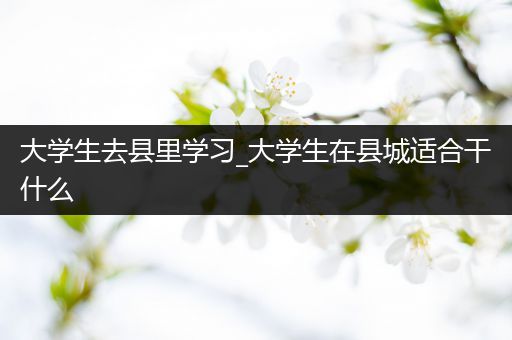 大学生去县里学习_大学生在县城适合干什么