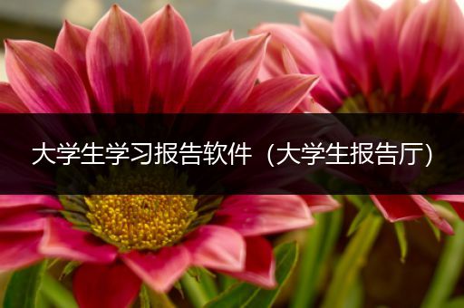 大学生学习报告软件（大学生报告厅）