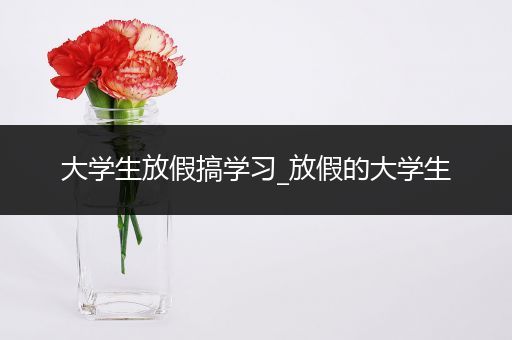 大学生放假搞学习_放假的大学生