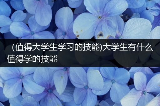 （值得大学生学习的技能)大学生有什么值得学的技能