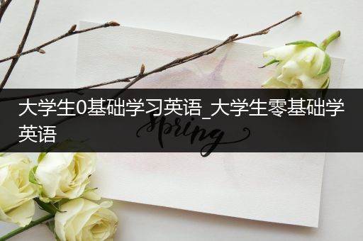 大学生0基础学习英语_大学生零基础学英语