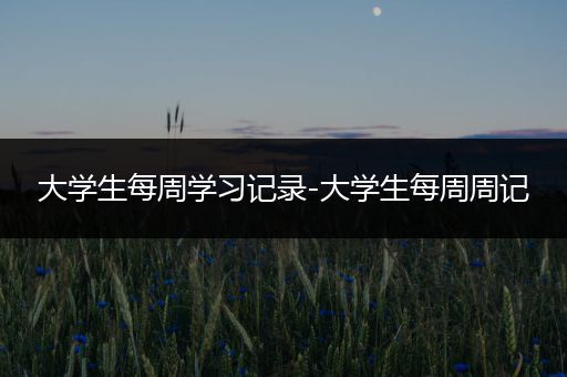 大学生每周学习记录-大学生每周周记